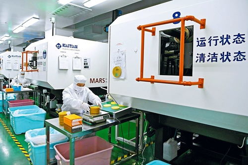 結(jié)對(duì)合作助轉(zhuǎn)型，數(shù)字技術(shù)賦能企業(yè)新飛躍